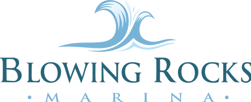 blowing rocks logo - footer